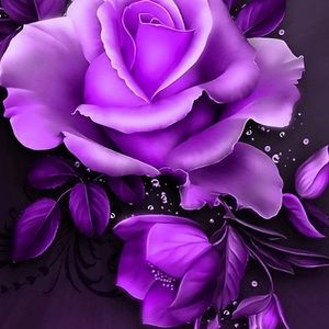 Meet your Posher, Marceta